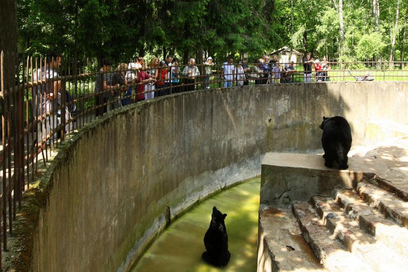 Zoologisk hage